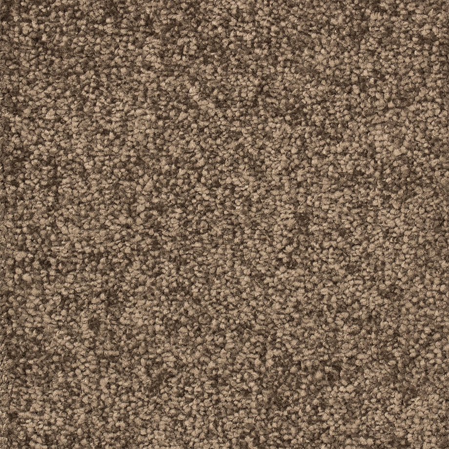 290593