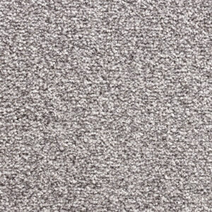 Scarlatti Project-SDN