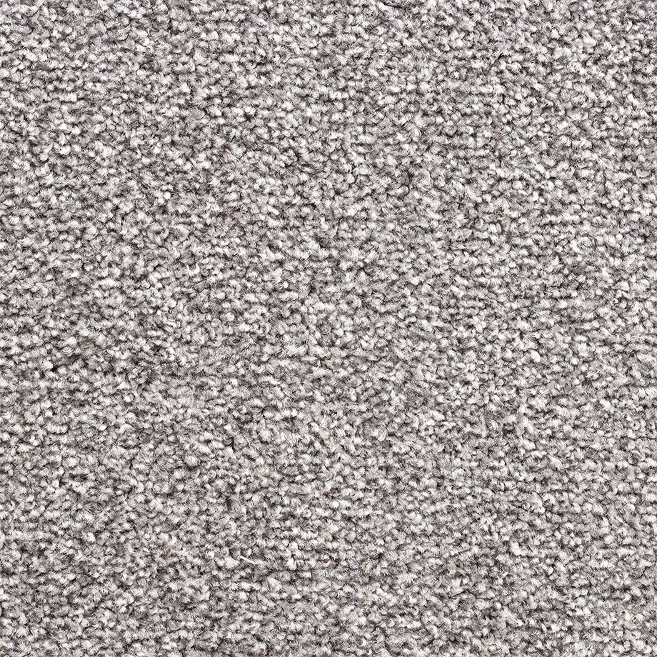 Scarlatti Project-SDN