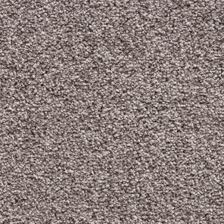 Scarlatti_Project_SDN_518486