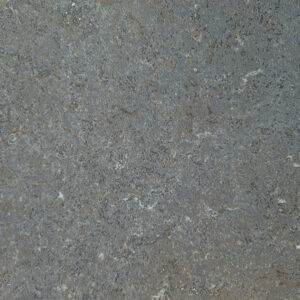 Dynamic Lino-M