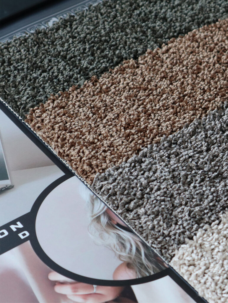 bologna sdy stalenhanger