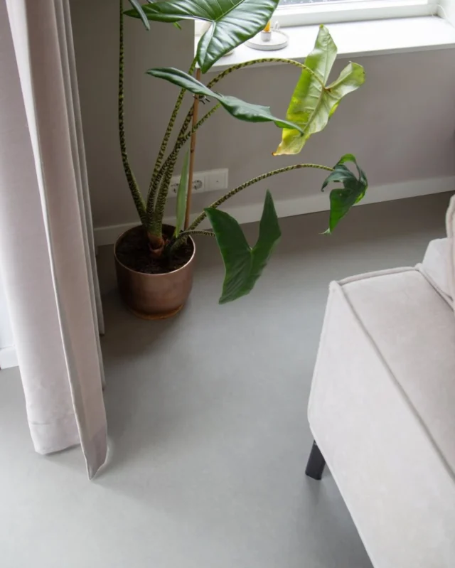 Een prachtig close-up van onze Dynamic Lino bij @madelonhelder 🤍
Het subtiele betoneffect en het tijdloze design maken deze vloer een perfecte match voor elk interieur! 🏡
#dynamiclino #betonlook #interiordetails #tijdloosdesign #vinylvloer #interfloor #vloerinspiratie #interior #interieur #interiorinspiration #interieurinspiratie #trends #carpet #floor #flooring #vloer #vinyl #tapijt #vloerkleed #vloeren #interieurstyling #styling #interieurdesign #interieurinspiratie #interior4all #vloereninspo #dynamiclino